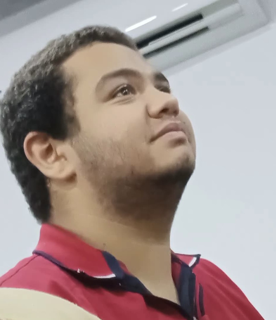 Ahmed Sameh's profile picture